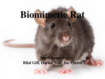 Biomimetic Rat  Mechatronics  Bilal Gill, Harish Nair, Joe Frezzo  Outline  Motivation  Rat