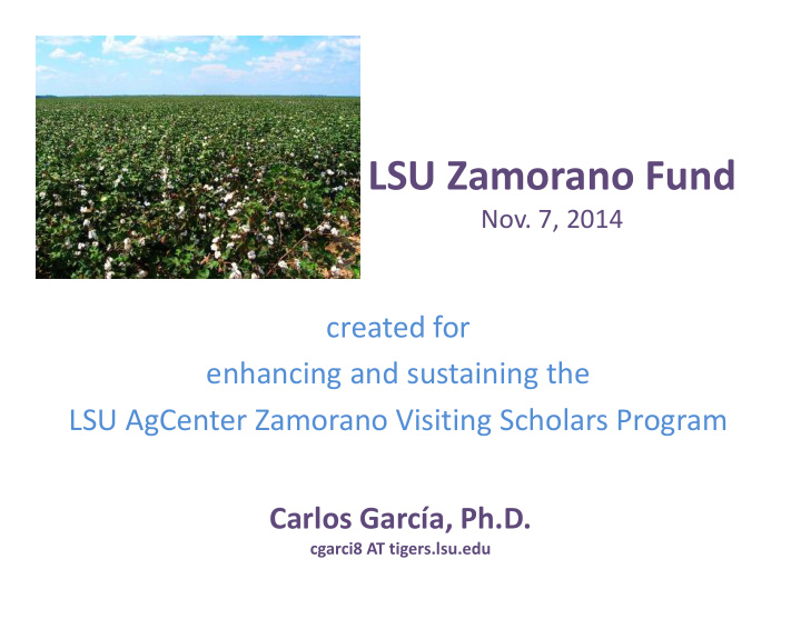 lsu zamorano fund