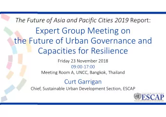 Expert Group Meeting on  the Future of Urban Governance and  Capacities for Resilience  Friday 23