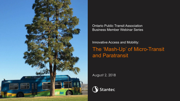 the mash up of micro transit and paratransit