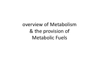 metabolic fuels