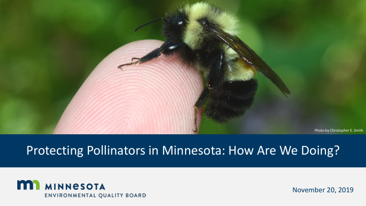 protecting pollinators in minnesota how are we doing