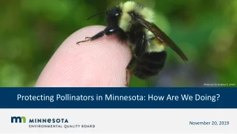 Protecting Pollinators in Minnesota: How Are We Doing?  November 20, 2019  The Issue  Why are we