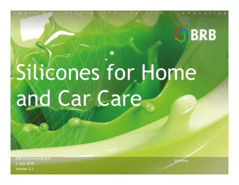 Silicones for Home  and Car Care  BRB International B.V.  2 July 2018  Version 3.1  What are we