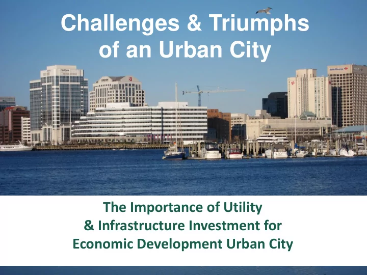 challenges triumphs of an urban city