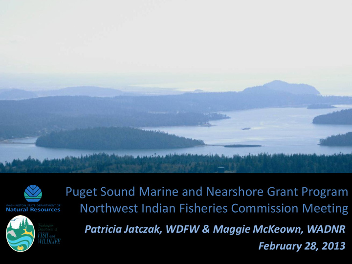 puget sound marine and nearshore grant program northwest
