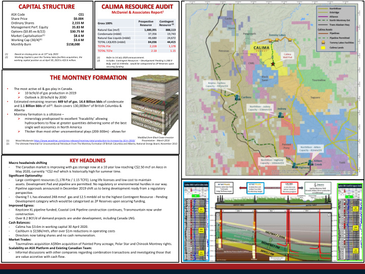 capital structure calima resource audit