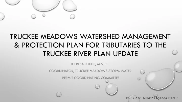truckee meadows watershed management protection plan for