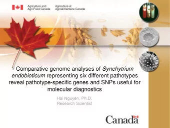 reveal pathotype-specific genes and SNPs useful for  molecular diagnostics  Hai Nguyen, Ph.D.