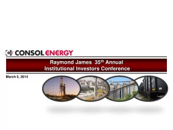 Raymond James  35 th Annual  Institutional Investors Conference  March 5, 2014  Cautionary Language