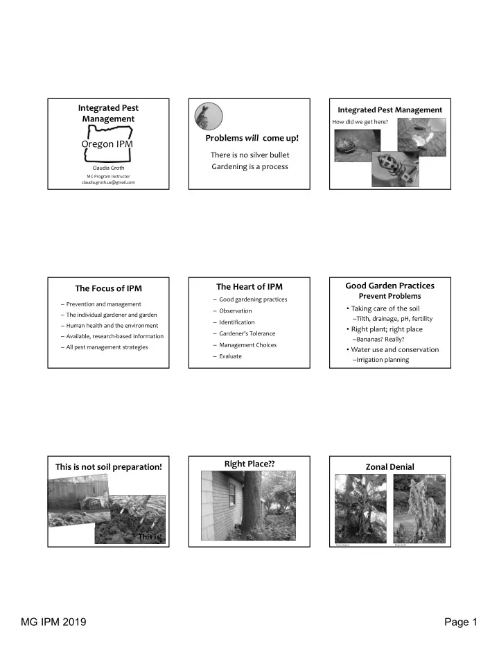mg ipm 2019 page 1