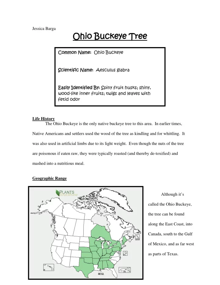 ohio b buck ckeye t eye tre ree