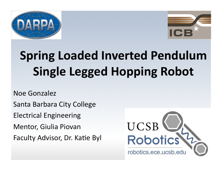 single legged hopping robot