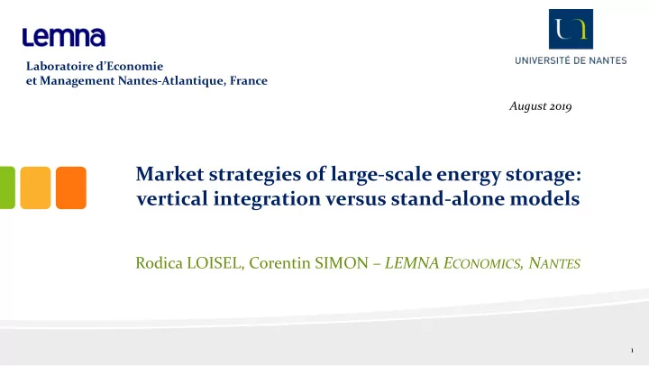 market strategies of large scale energy storage vertical