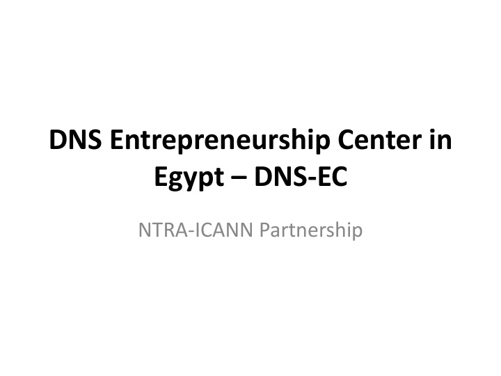 dns entrepreneurship center in egypt dns ec