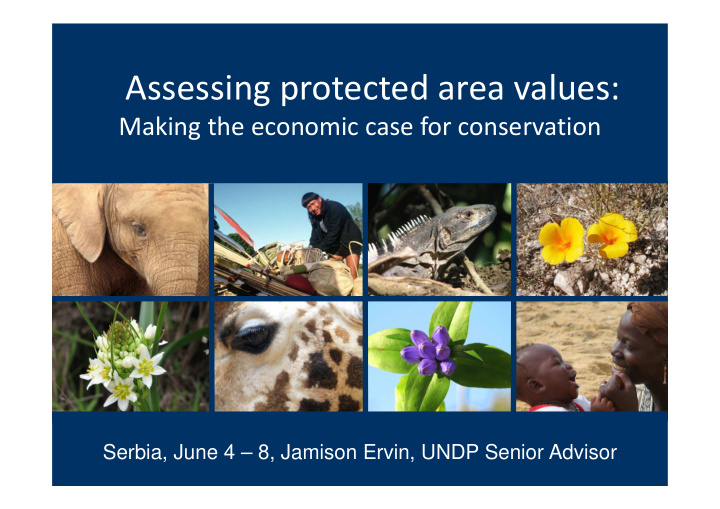 assessing protected area values