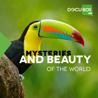 AND BEAUTY  OF THE WORLD DOCU box  Channel  description A rich collection of fascinating  and