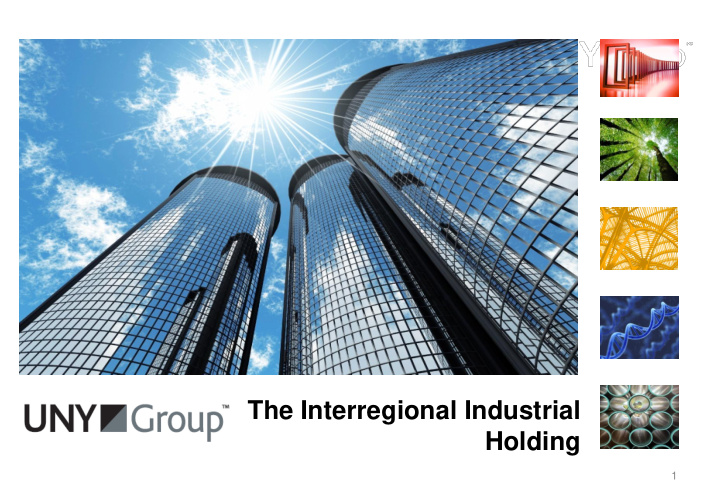 the interregional industrial holding