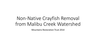 Non-Native Crayfish Removal  from Malibu Creek Watershed  Mountains Restoration Trust 2014