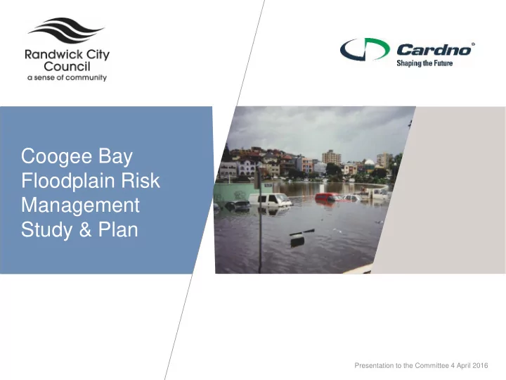 floodplain risk
