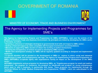GOVERNMENT OF ROMANIA  MINISTRY OF ECONOMY, TRADE AND BUSINESS ENVIRONMENT  The Agency for