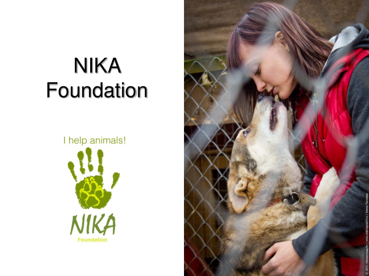 nika foundation