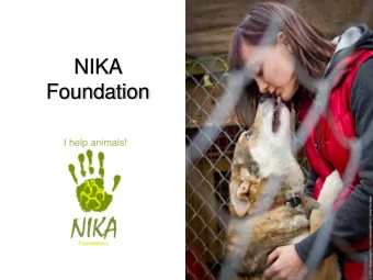 NIKA  Foundation  It all started three years ago, in a small town  of Zelenograd, Russia,  when