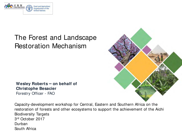 the forest and landscape restoration mechanism