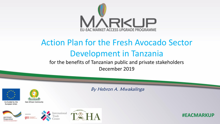 action plan for the fresh avocado sector