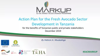 Action Plan for the Fresh Avocado Sector  Development in Tanzania  for the benefits of Tanzanian