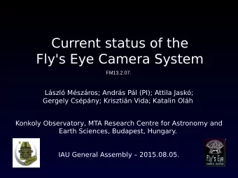 Current status of the  Fly's Eye Camera System FM13.2.07.  Lszl Mszros; Andrs Pl (PI);