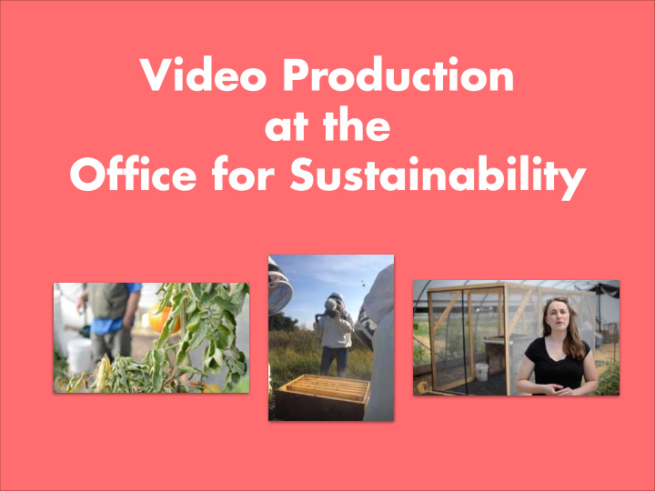 video production at the office for sustainability video