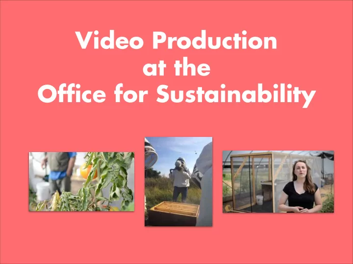 video production at the office for sustainability video