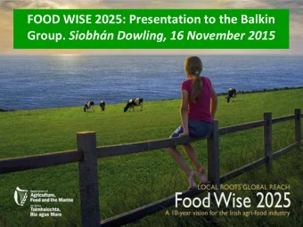 FOOD WISE 2025: Presentation to the Balkin Group. Siobhn Dowling, 16 November 2015  Ireland