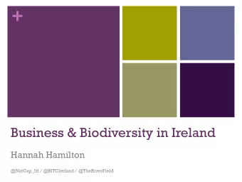 +  Business &amp; Biodiversity in Ireland  Hannah Hamilton  @NatCap_Irl / @BITCireland /