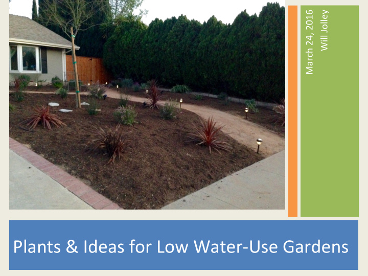 plants ideas for low water use gardens from bruce van