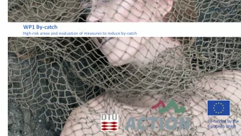 WP1 By-catch  High-risk areas and evaluation of measures to reduce by-catch  Co-funded by the