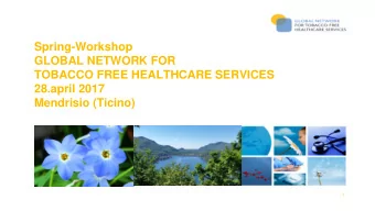 GLOBAL NETWORK FOR  TOBACCO FREE HEALTHCARE SERVICES  28.april 2017  Mendrisio (Ticino)  1