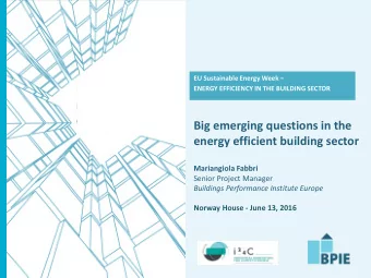 Big emerging questions in the  energy efficient building sector  Mariangiola Fabbri  Senior Project