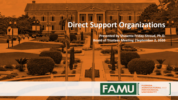 direct support organizations