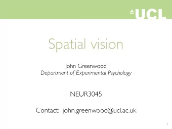 Spatial vision  John Greenwood  Department of Experimental Psychology  NEUR3045  Contact:
