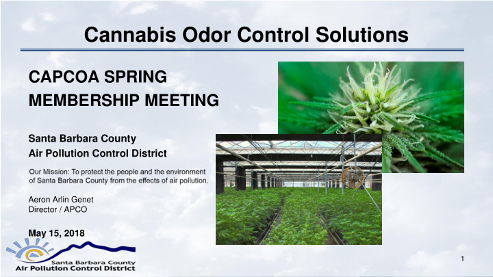 cannabis odor control solutions