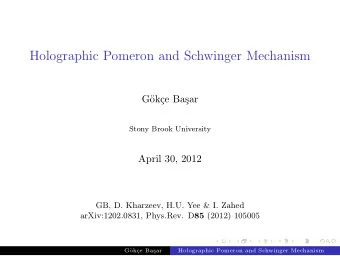 Holographic Pomeron and Schwinger Mechanism  G  ok  ce Ba  sar  Stony Brook University  April
