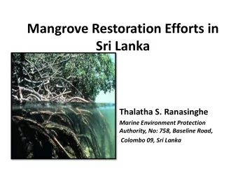 Mangrove Restoration Efforts in  Sri Lanka  Thalatha S. Ranasinghe  Marine Environment Protection
