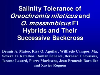 Oreochromis niloticus O. mossambicus F1  F1  O. mossambicus  Hybrids and Their  Hybrids and Their
