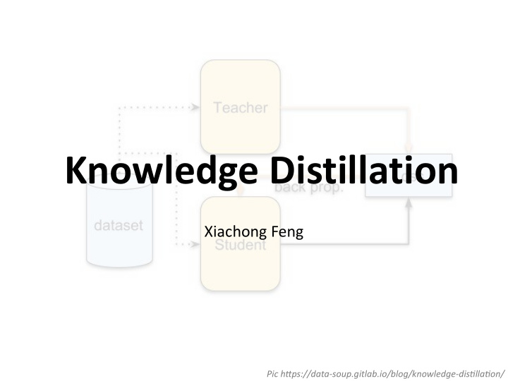 knowledge distillation