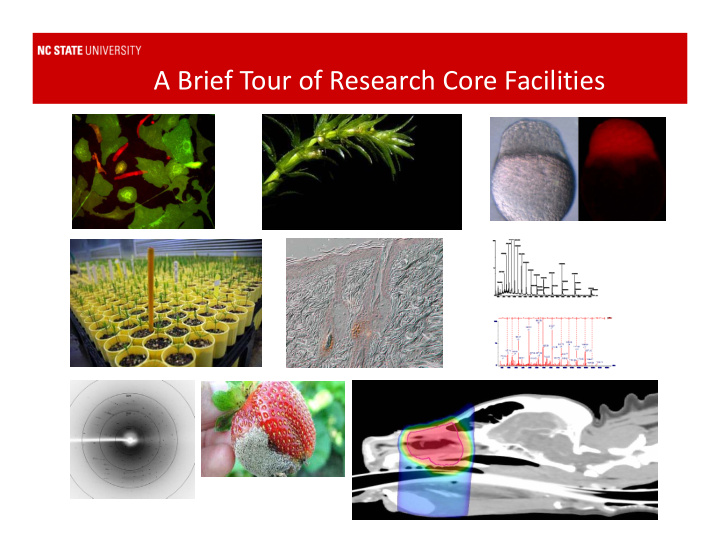 a brief tour of research core facilities genomics and