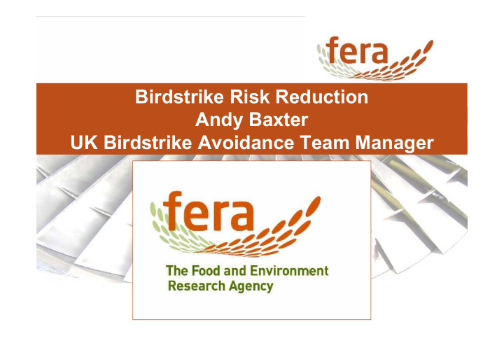 birdstrike risk reduction andy baxter uk birdstrike