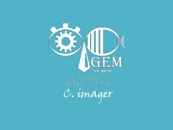 C. imager  C.ima  mager  C.ima  mager  C.ima  mager  Colo  lor mim  imic  Motion control