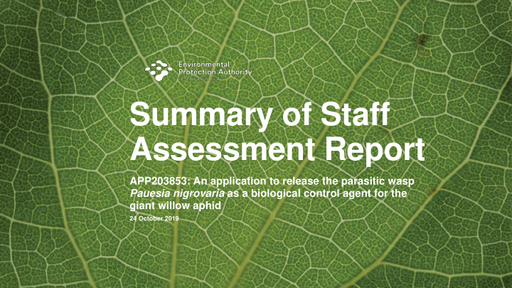 summary of staff assessment report